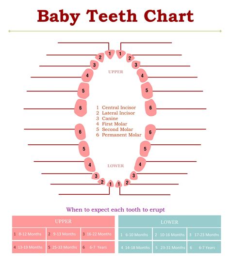 Tooth Color Chart Printable